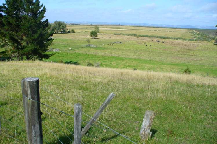 3483 Kaipara Coast Highway Glorit_20