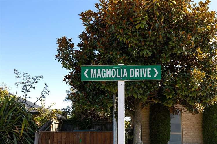 4 Magnolia Drive Springlands_5