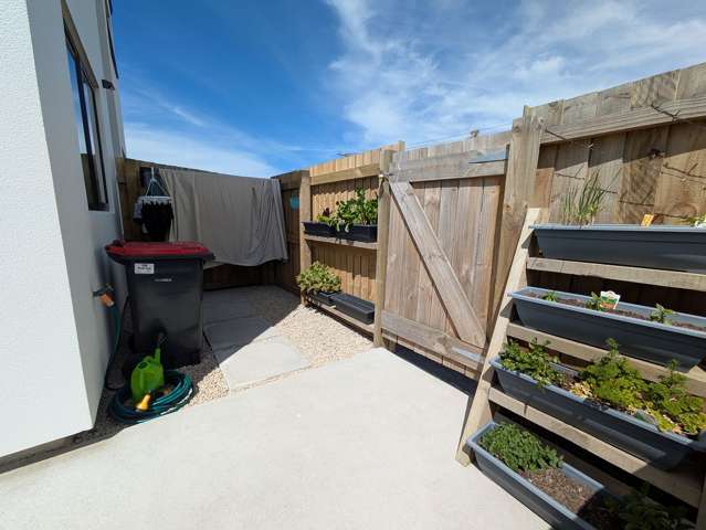 35a Wembley Street Sydenham_2