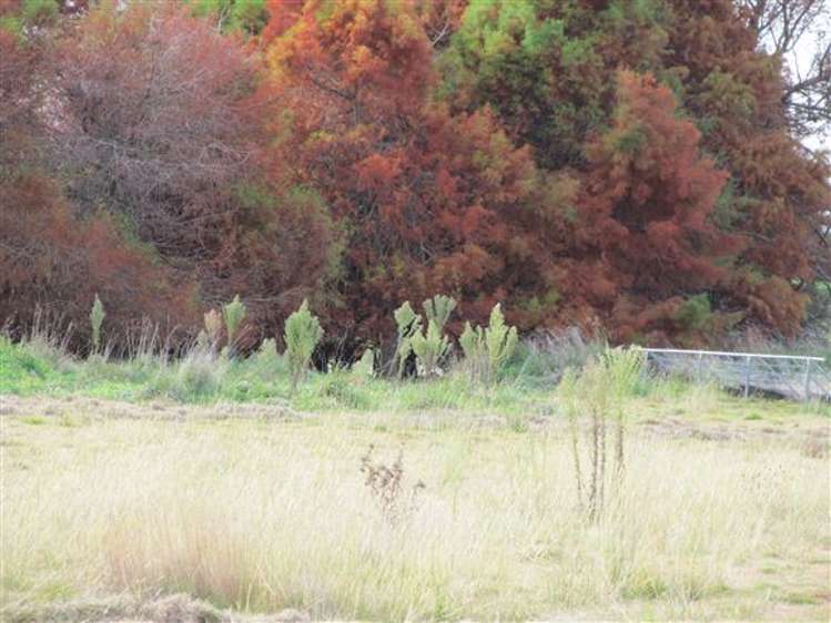 162 Oroua Road Kairanga_14