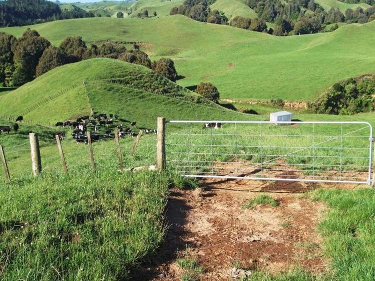 446 Stanley Road Te Popo_50