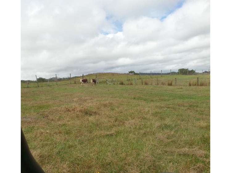 132b Gatfield Road Kaukapakapa_6