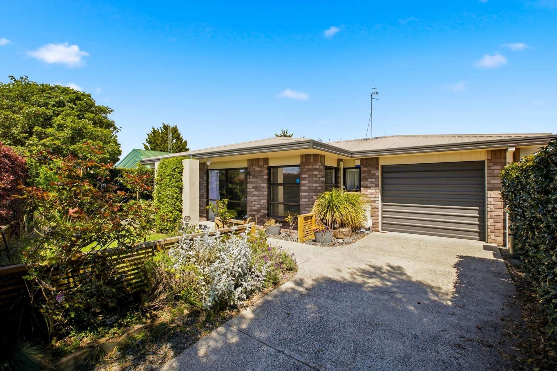 2 McBeth Drive Te Puke_0