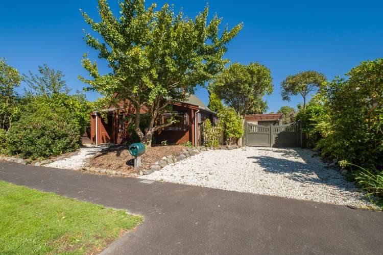 23 Wiremu Street Redwood_26