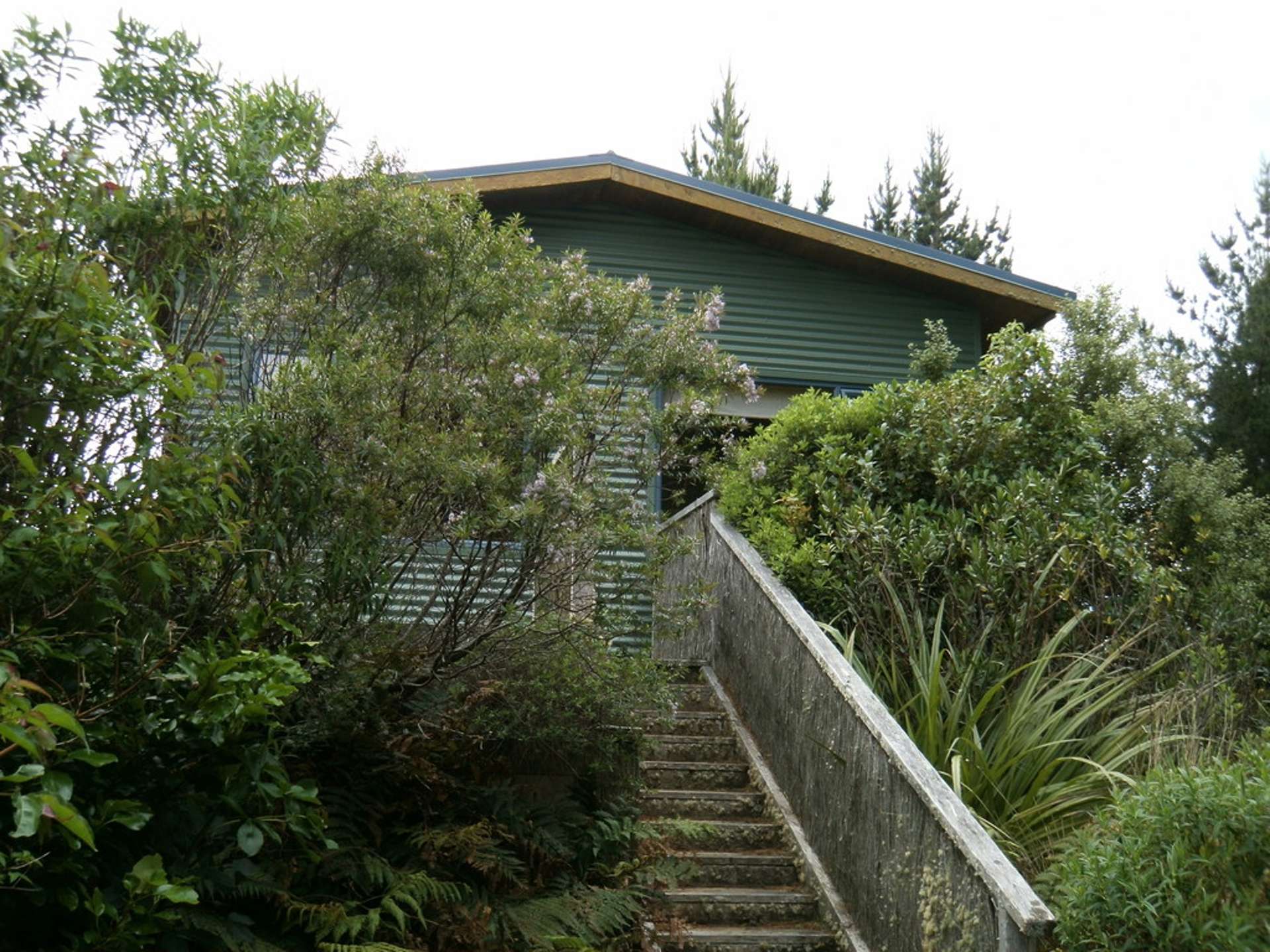 6 Dewe Road Catlins Surrounds_0