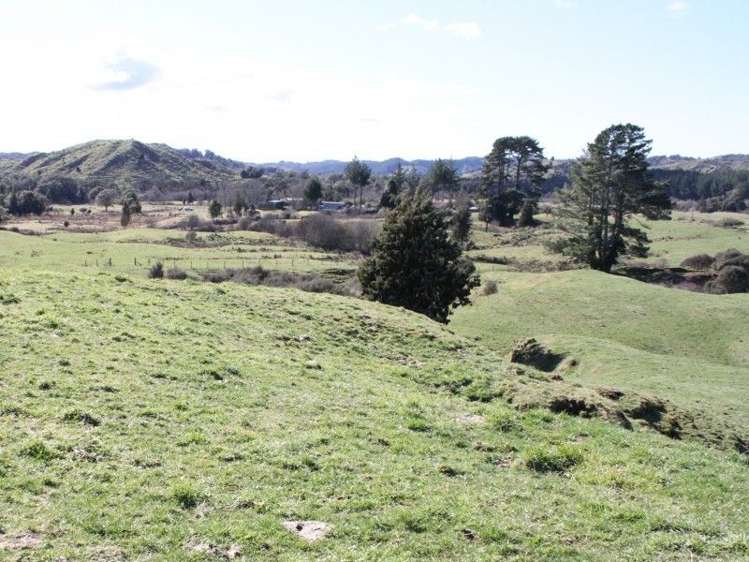 1427 Waitaanga Road Ohura_19