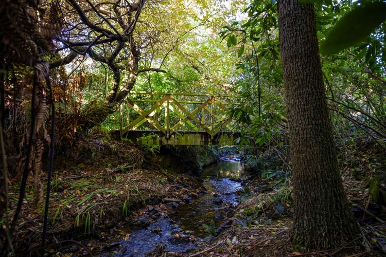 741 Portobello Road Broad Bay_24