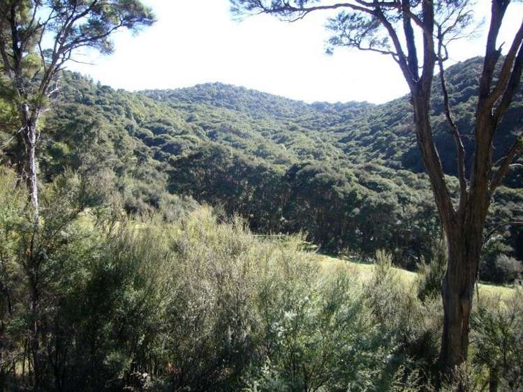 419 Spur Road Pongaroa_5