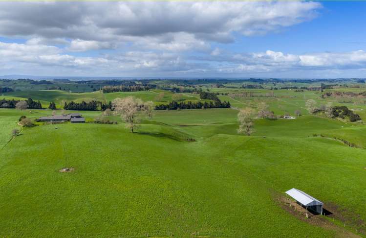 578 Waimanu Road Wharepapa South_14