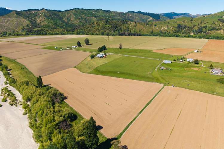 Lot Lot 2 DP 578365, Poynter Road Te Karaka_9