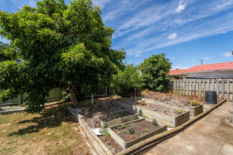 3 Peninsula Road Spring Creek_11