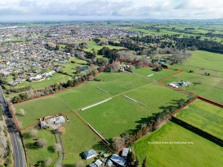 51A Horrell Road Morrinsville_35