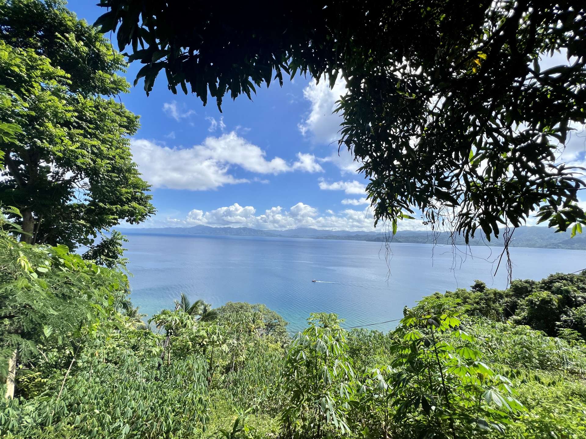 lot 7 and 8 Naveria Heights, savusavu Vanua Levu_0