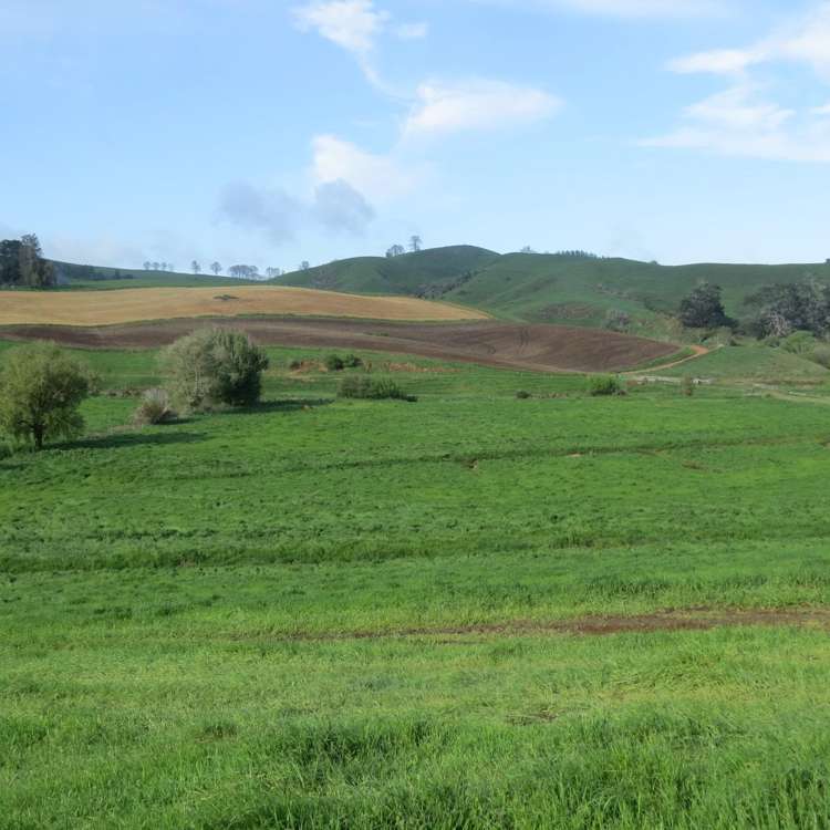 48 Barber Road Otewa_17