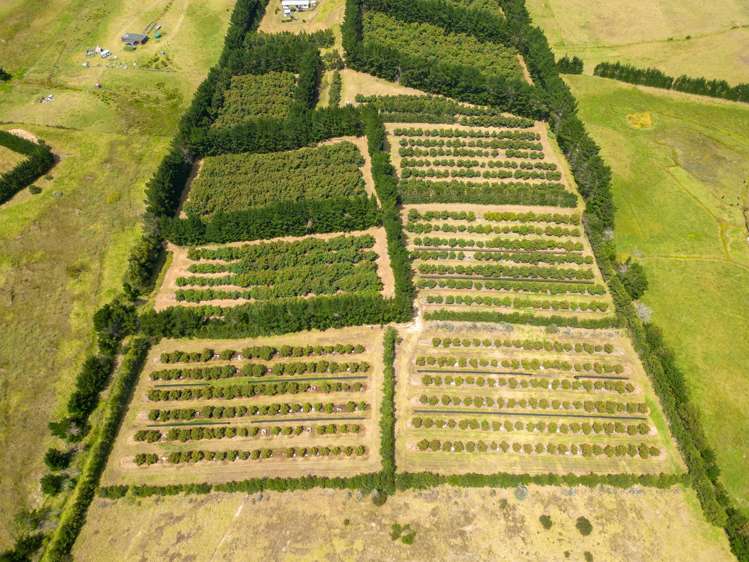 5126 State Highway One Ngataki_5