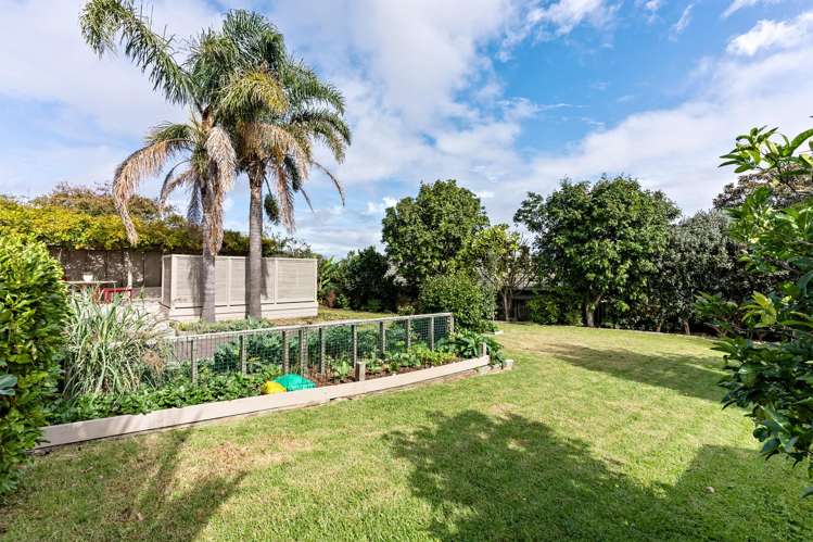 57a Cook Street Howick_27