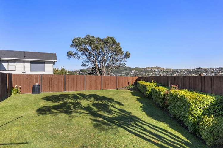 53 Fitzpatrick Street Newlands_12