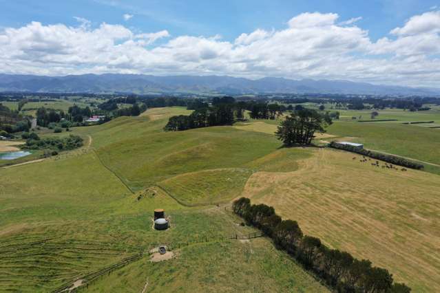 83 Norsewood Ormondville Road Norsewood_2