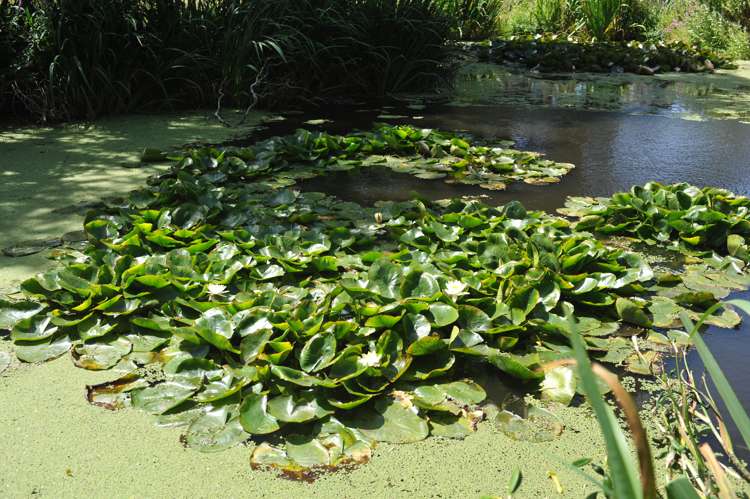 156 Smiths Road West Otago Surrounds_18