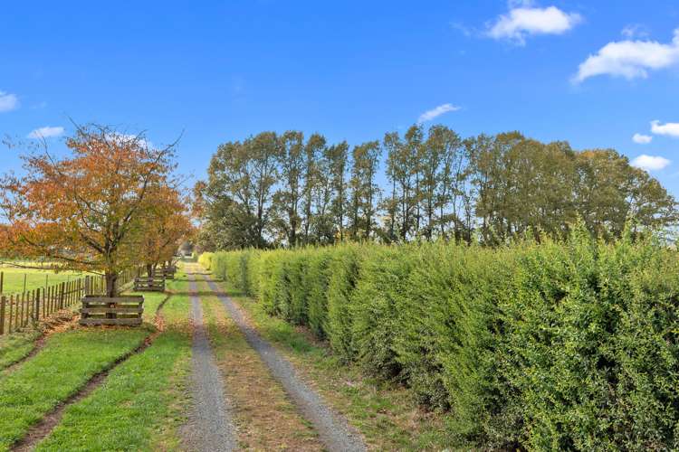 411 Marychurch Road Matangi_5