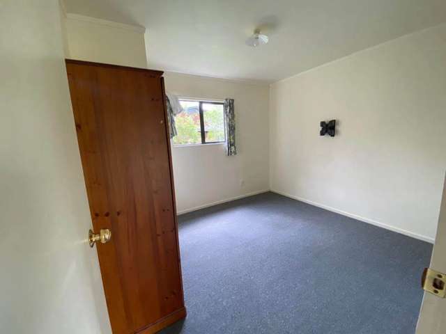 99A Postman Road Dairy Flat_3