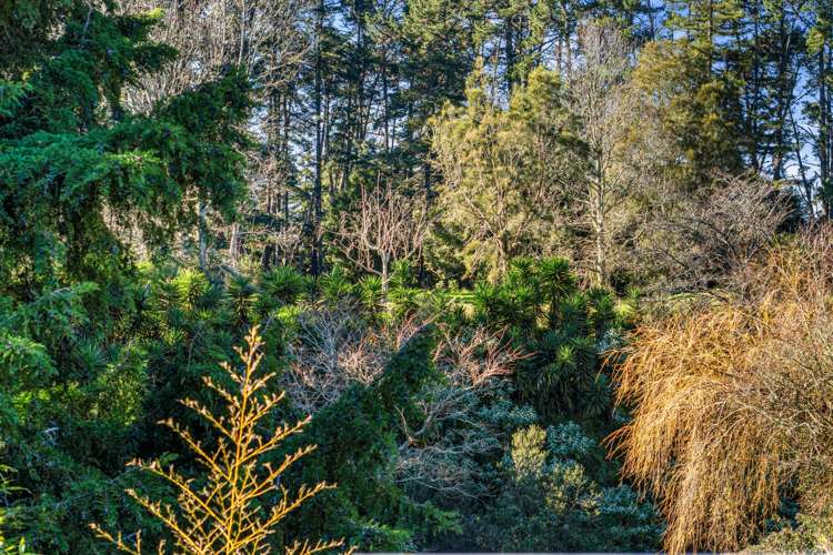 11b Anthony Crescent Bader_17