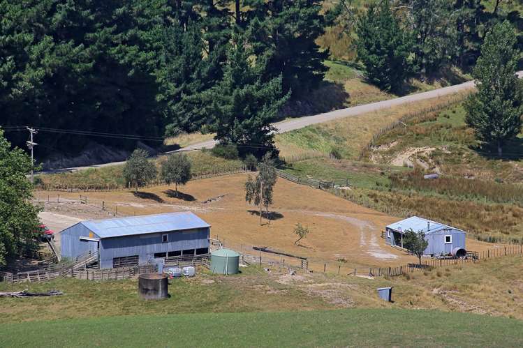 746 Te Awa Road Central Hawkes Bay Coastal_11