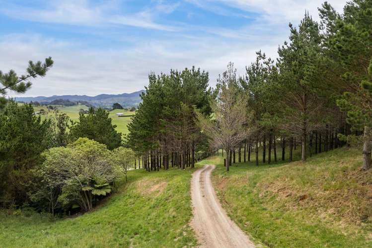 Lot 1/356 Trig Road Waihi_7