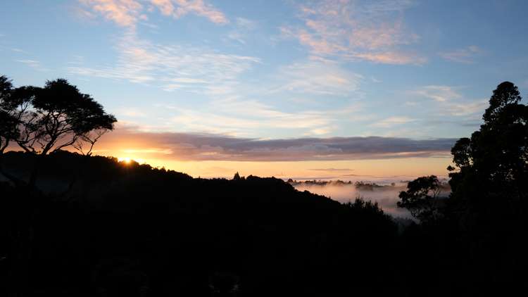 22 Kitewaho Road Swanson_6