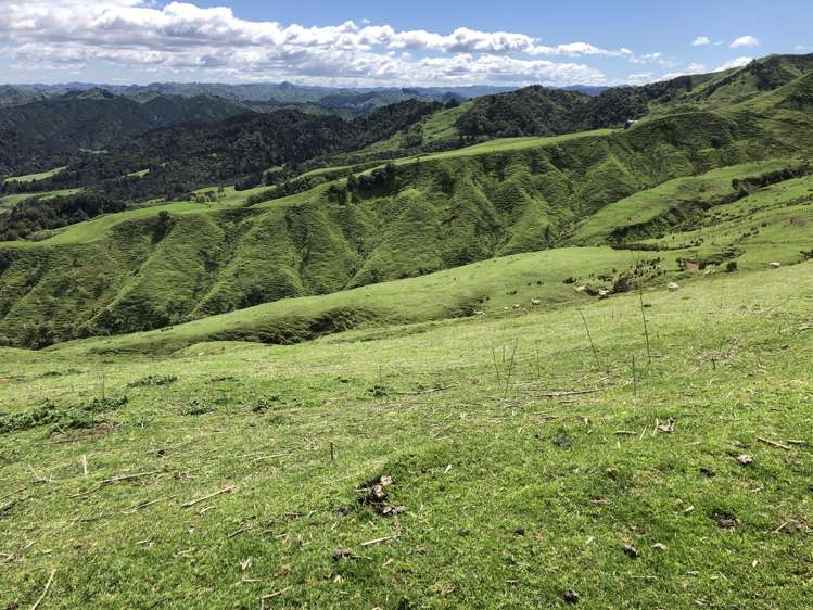 1041 Paparoa Road Whanganui National Park_17