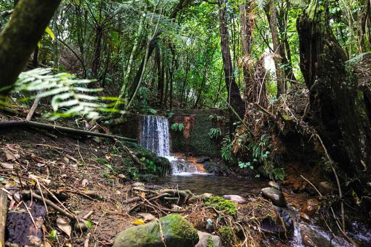 7 Stoney Brook Lane Kerikeri_21