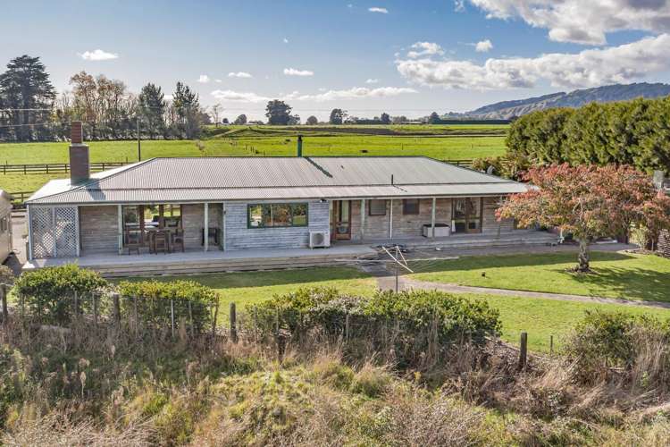 382 Kimberley Road Levin_18