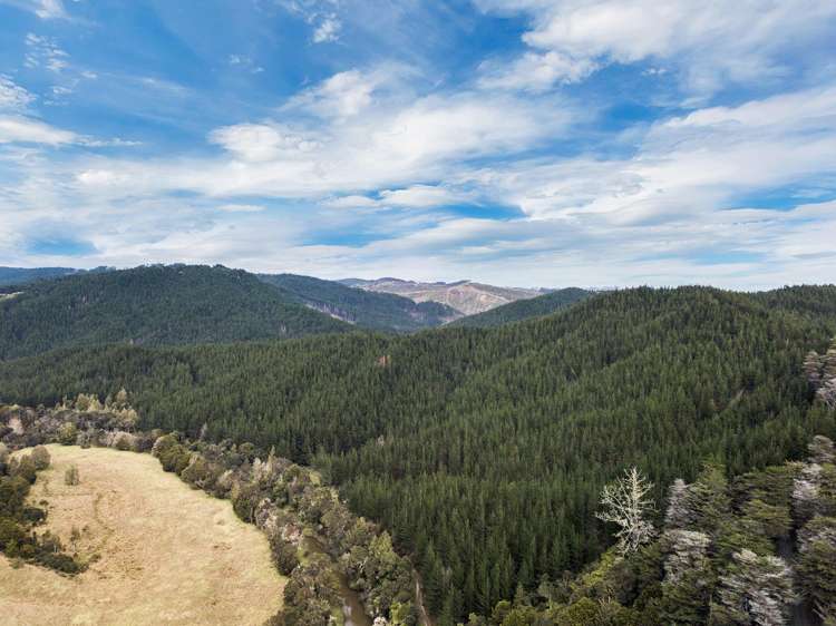 SH 1 Wayby Wellsford_7