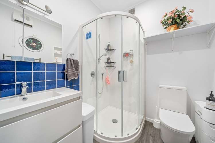 7 Hawtrey Terrace Johnsonville_19