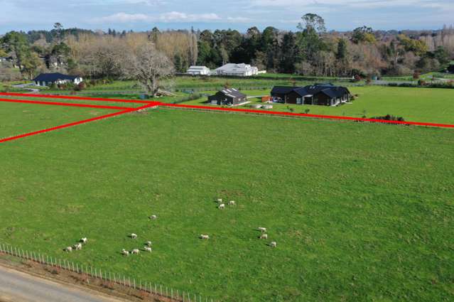 50 Fernando Drive Tamahere_2