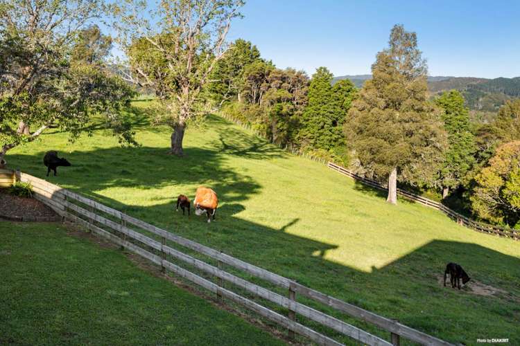 1689C Ararimu Road Hunua_17