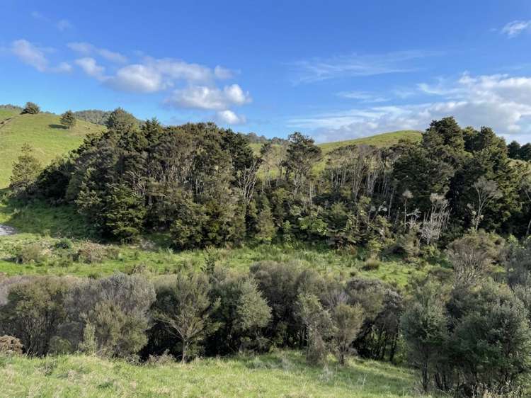 583 Lusk Road Ruawai_25