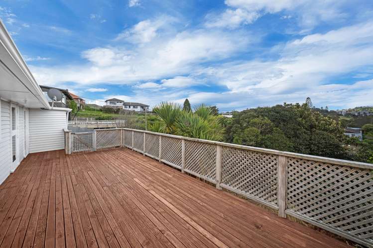 52 Carlton Street Hillsborough_39