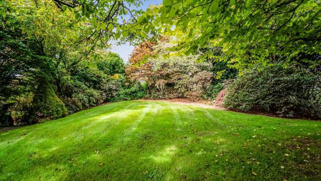 172 Lepper Road Upper Inglewood_4