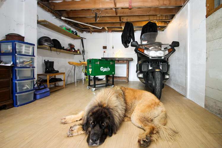 331 Douglas Avenue Te Awamutu_18