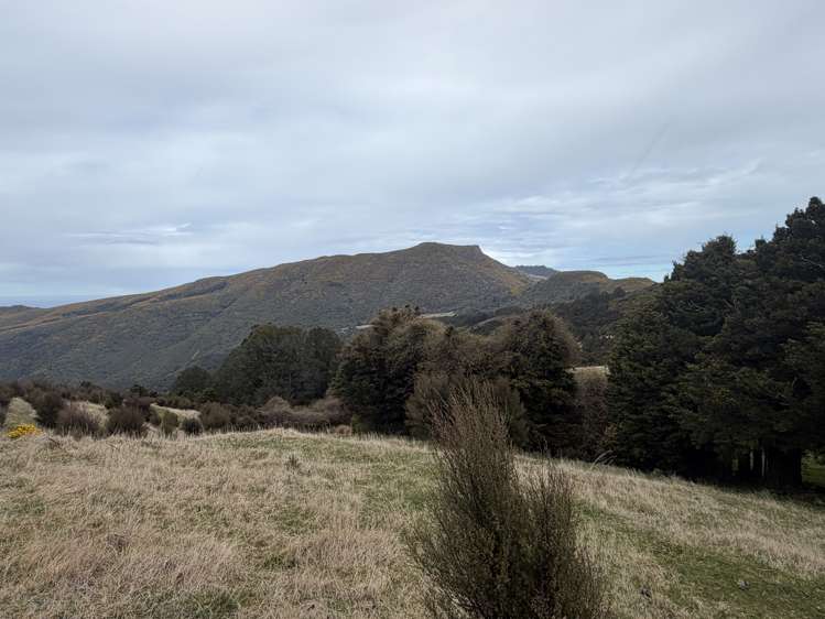 490 Long Bay Road Akaroa_24