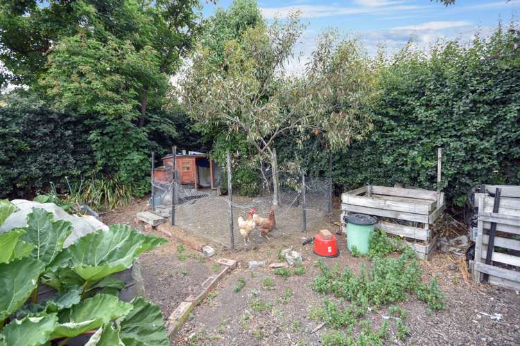 38 Craig Street Palmerston_18