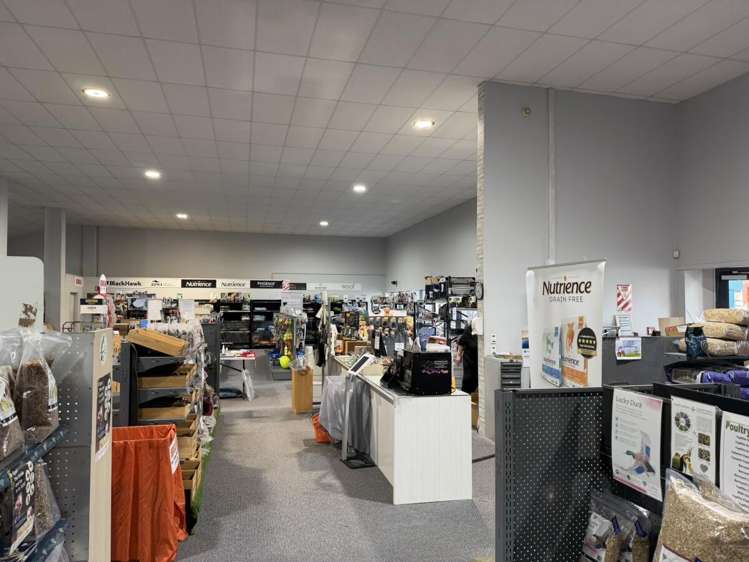 65 Molesworth Street New Plymouth_4