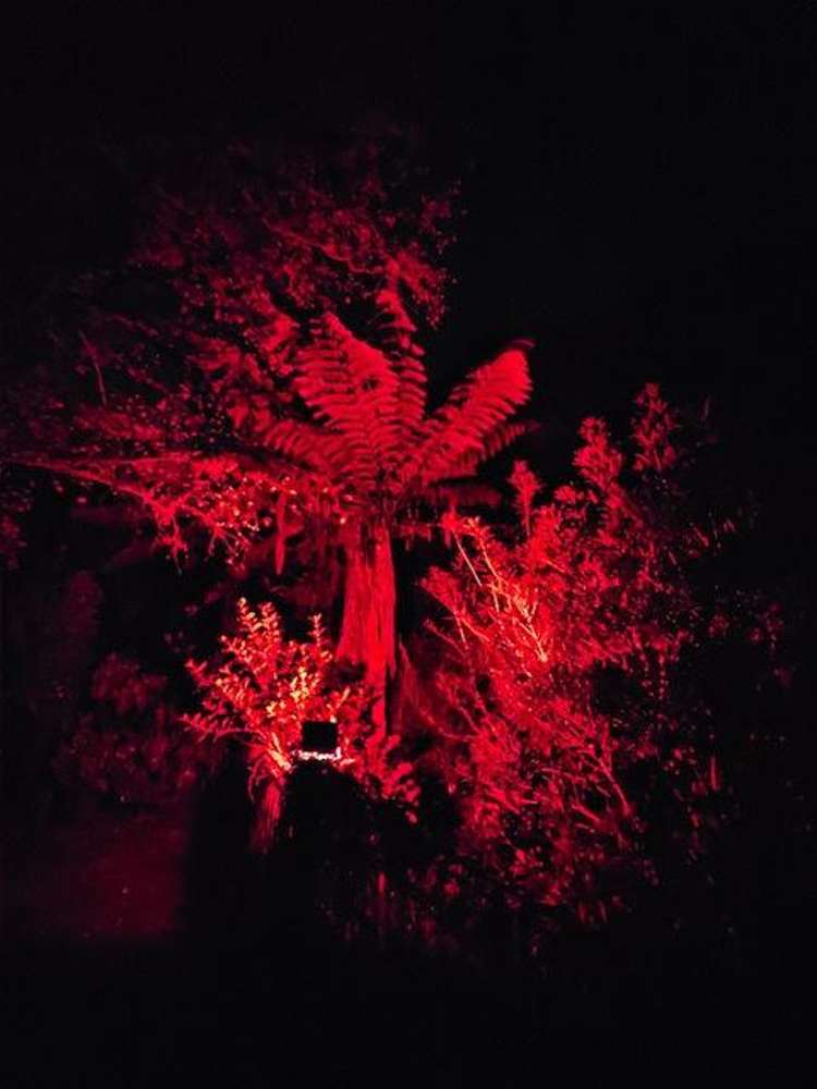 8 Saint Annes Square Tawa_38