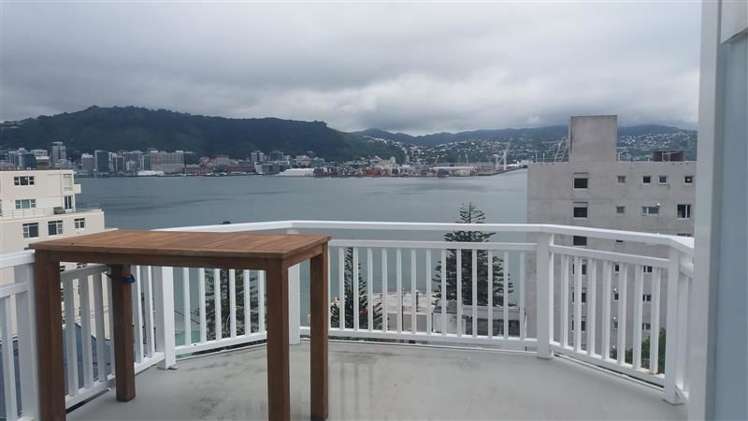 6 Baring Street Oriental Bay_17