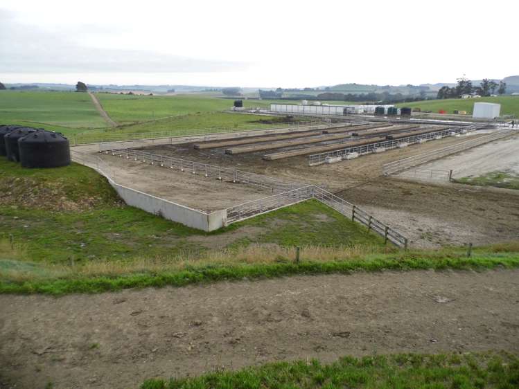 191 Cowans Road Enfield and Surrounds_7