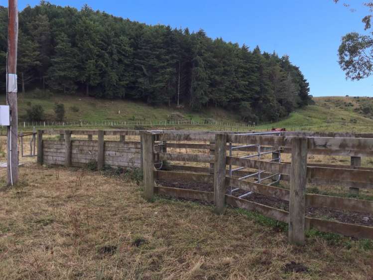 190 Harris Road Woodville_4