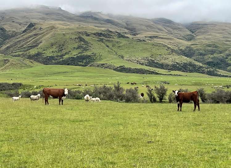 Lot 2 DP 595620 Gladbrook Road Middlemarch_3