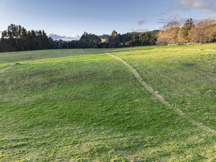 1015 Waitara Road Te Haroto_39