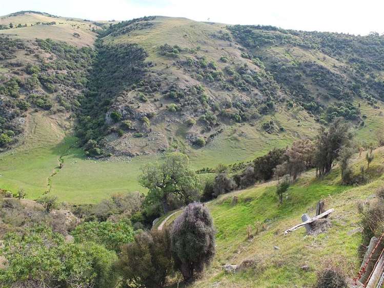 831 Chorlton Road Little Akaloa_23